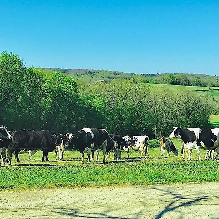 « Le Vieux Hangar » Gite A La Ferme 勒比松德卡多恩 外观 照片