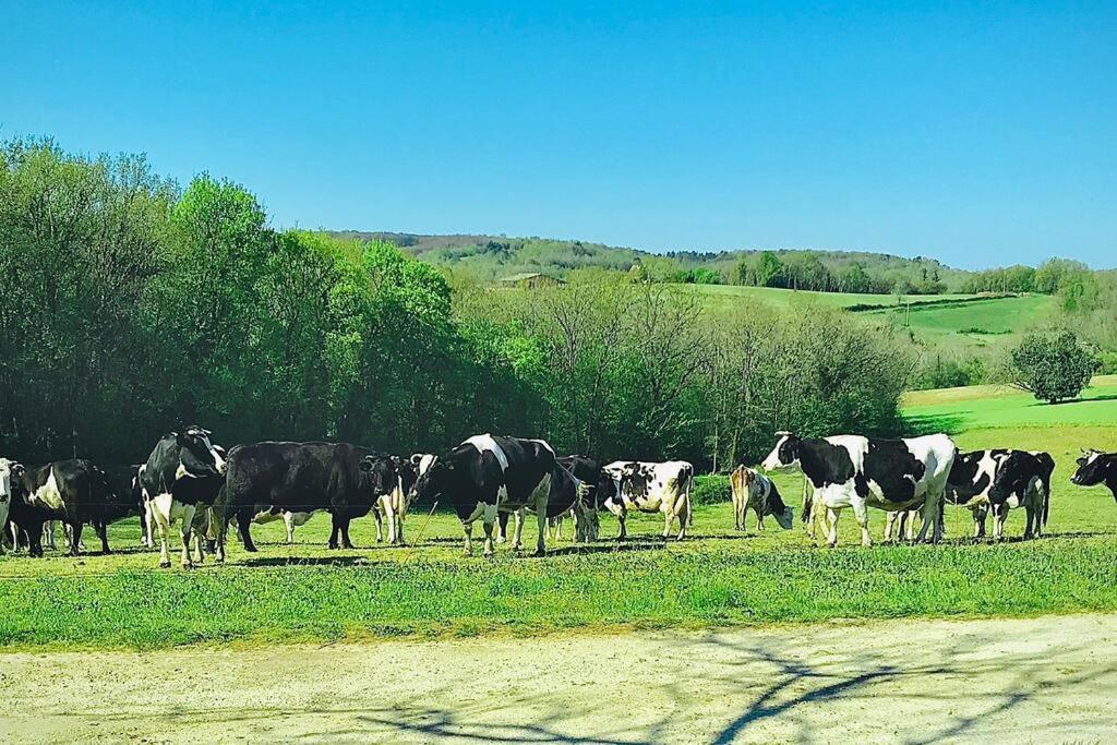 « Le Vieux Hangar » Gite A La Ferme 勒比松德卡多恩 外观 照片